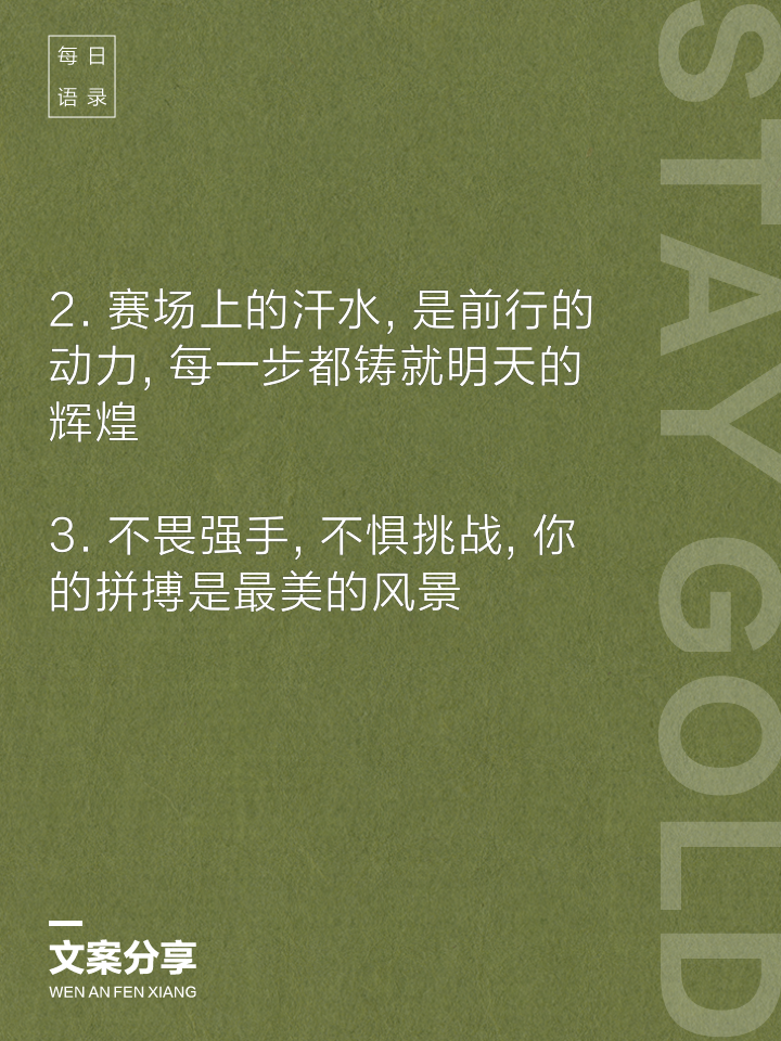精妙的配合,让赛场上的每一刻都精彩 精妙的配合,让赛场上的每一刻都精彩