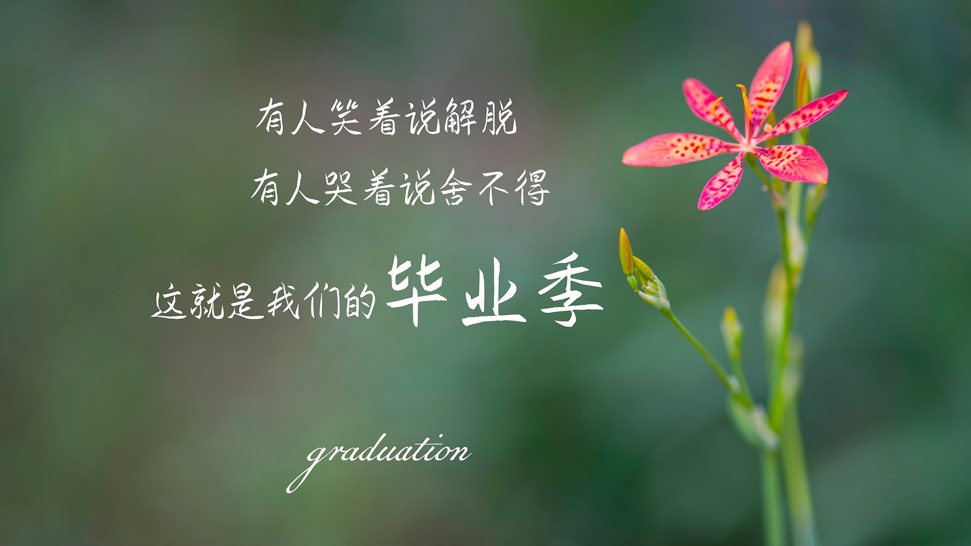 奥运周期关键焦点战，热火惊天翻盘湖人，重塑争冠格局