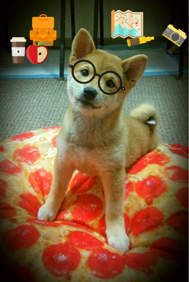 两个世界,同一夜,篮球与足球赛场上的压哨英雄