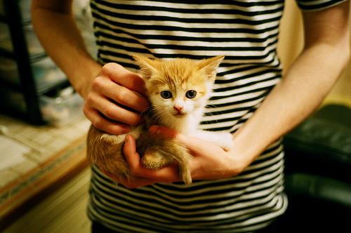 雷火电竞网站-一场比赛两种哲学，老鹰的全息战术如何让广厦的钢铁洪流陷入沉默