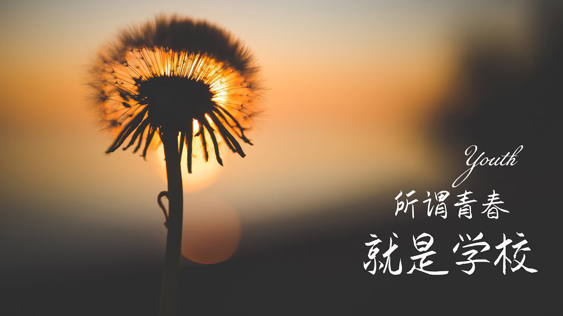 一夫当关,阿方索·戴维斯如何在2026世界杯F组生死战中撕裂乌拉圭,改写美国足球命运